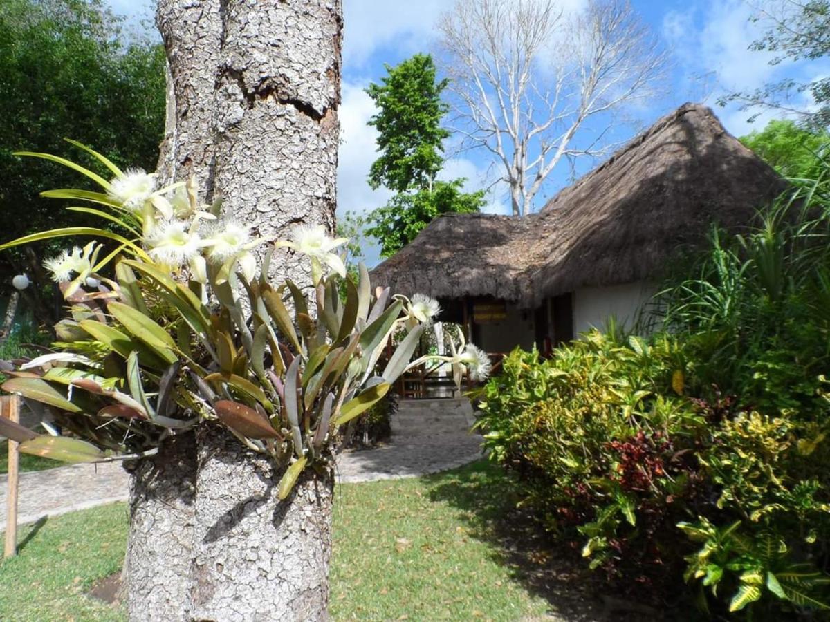 Hotel Villas Chicanna Extérieur photo